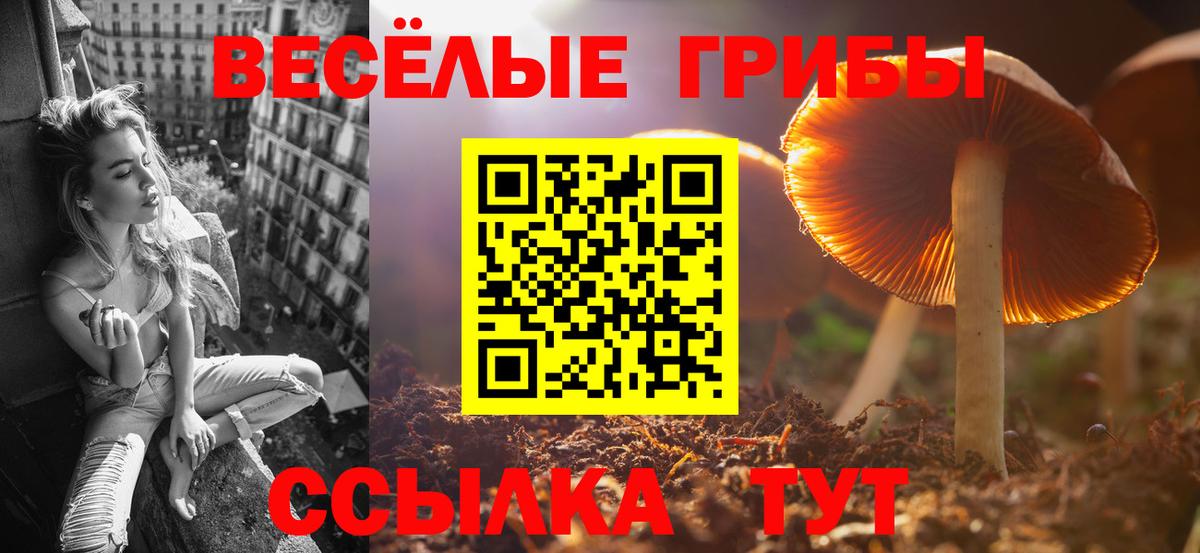 купить наркотики цена  Вход с VPN  Партизанск  Галлюциногенные грибы прущие грибы  Галлюциногенные грибы мицелий 