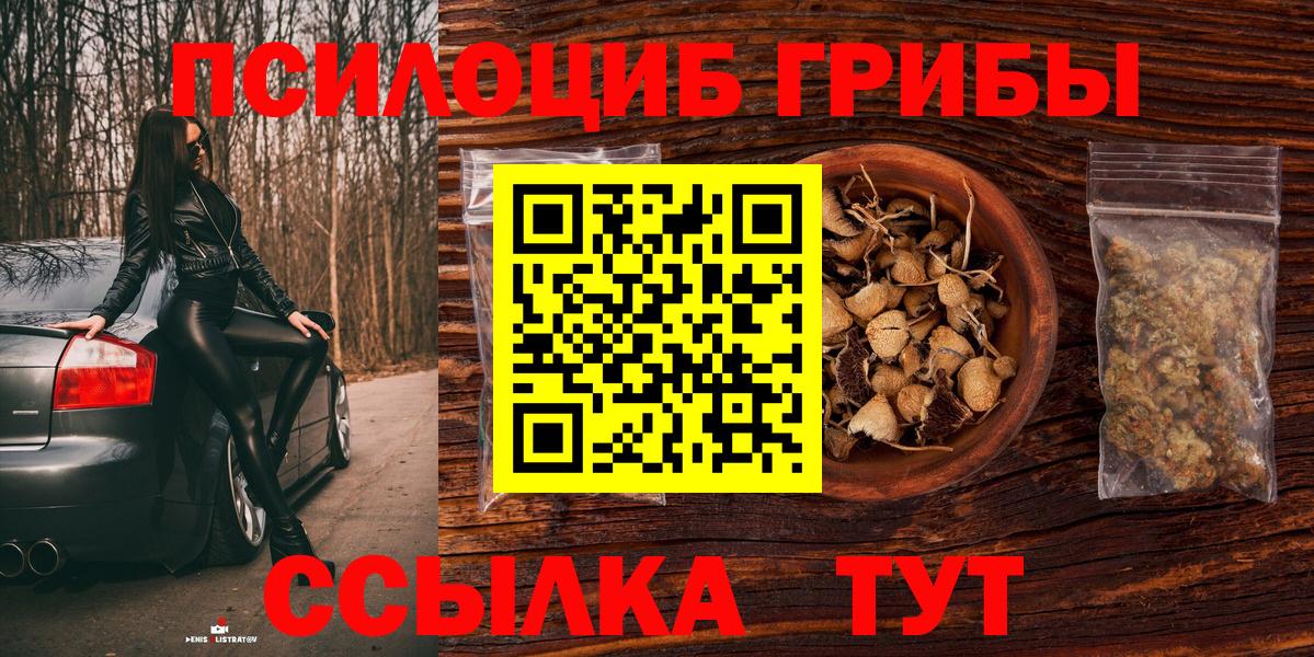 Псилоцибиновые грибы мухоморы Партизанск